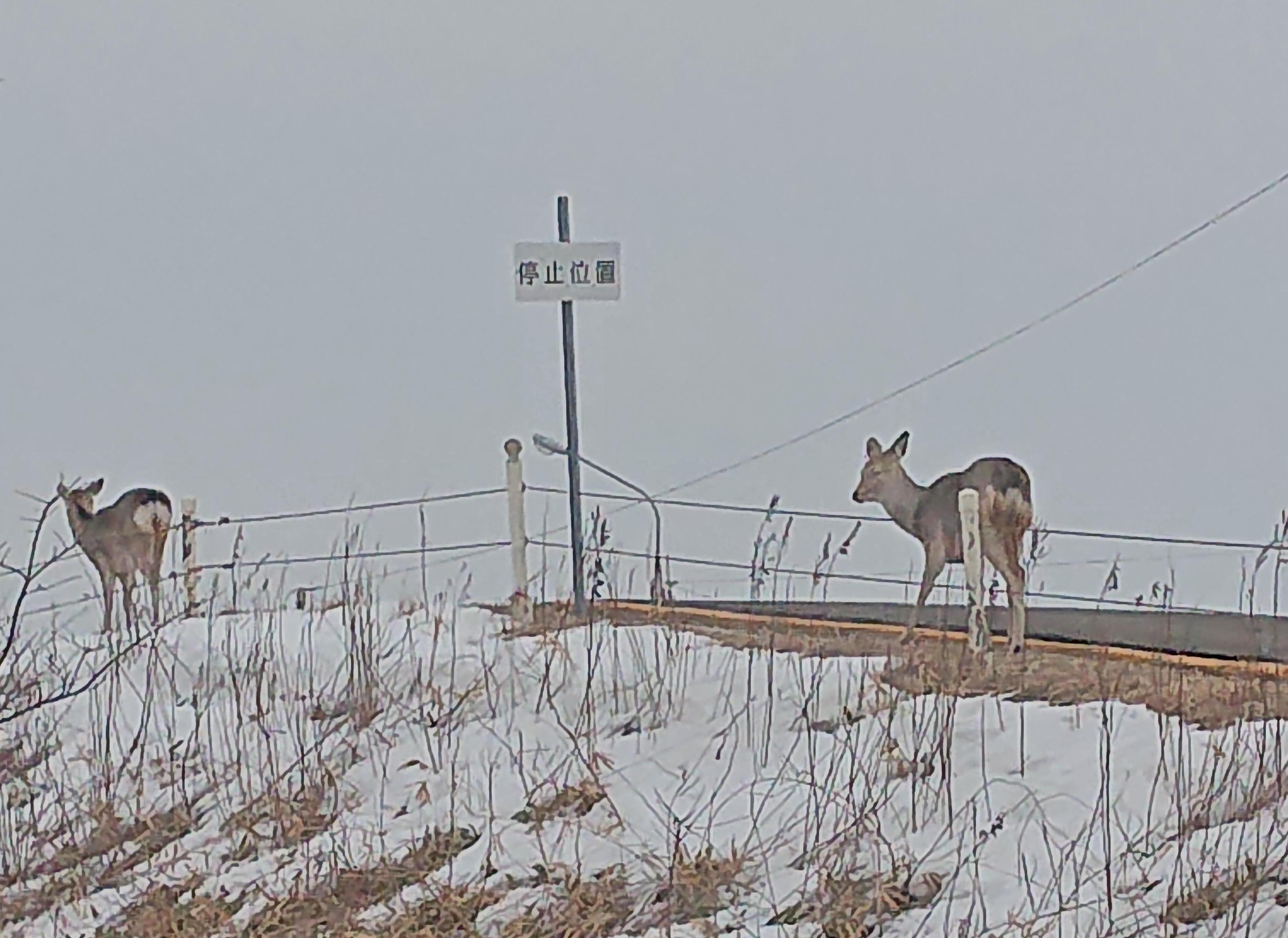 ドローン教習所北海道根室校サブ画像２